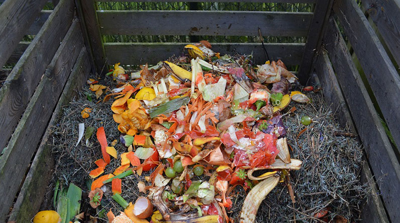 How to Create Your Own Organic Compost