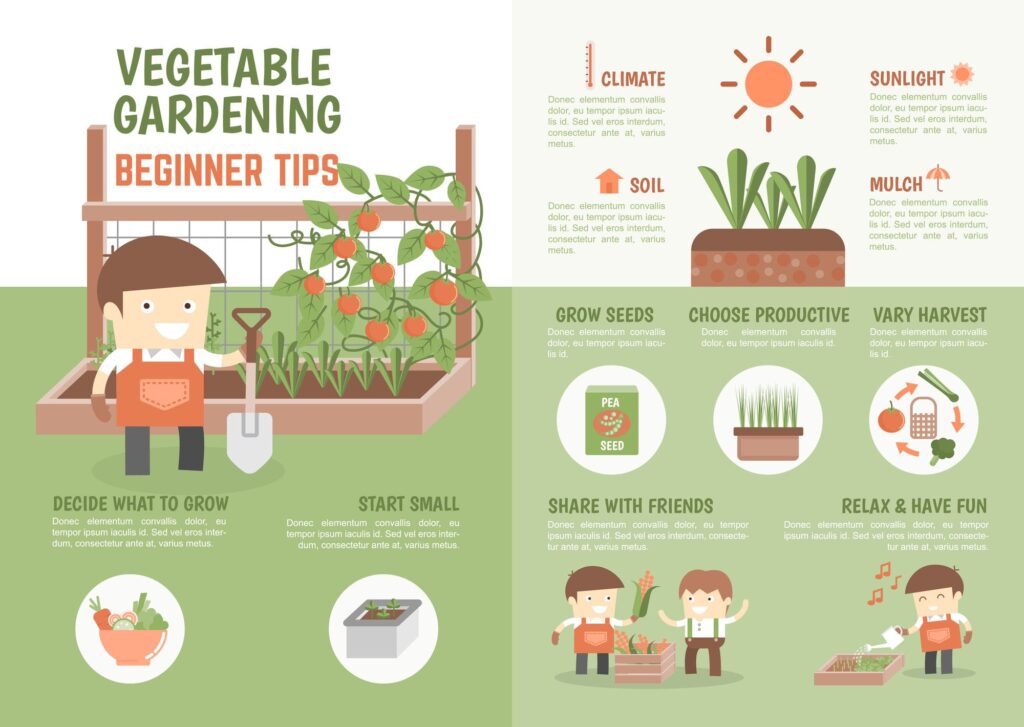Beginner's Guide to Organic Gardening